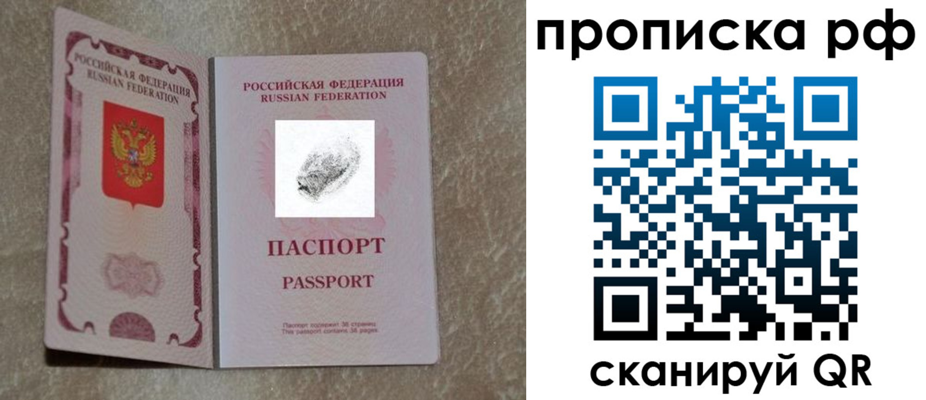 прописка поиск в Элисте